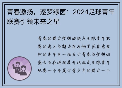 青春激扬，逐梦绿茵：2024足球青年联赛引领未来之星